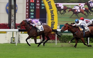 Little Bridge - HKJC Gr.2 Sprint